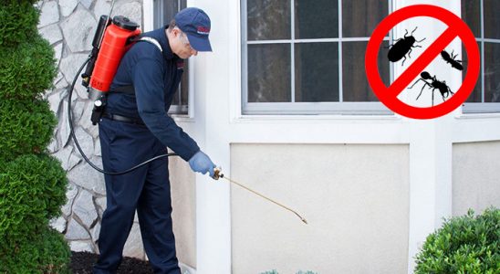 Erciş Böcek ve Haşere İlaçlama böcek ilaçlama ve haşere kontrolü — ilaclama-tr.com
